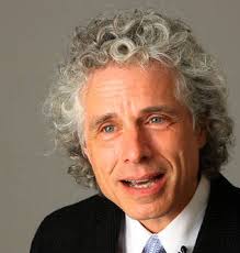 Is Noam Chomsky's Theory of Language Wrong? Steven Pinker Weighs in