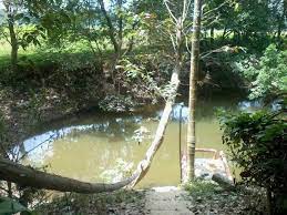 Check spelling or type a new query. Taman Serendah Sekebun Bunga Tapak Peninggalan Cik Siti Wan Kembang Kelantan Kini