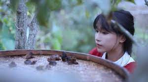 so this video called the life of chilli chopped chili fish head red oil sheet jelly liziqi channel youtube in 2021 food garden chilli nature friendly