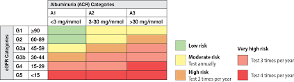 Chronic Kidney Disease Identification Evaluation And Management Of Adult Patients Province Of British Columbia