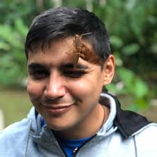 Mas insectos de Barinas, Venezuela