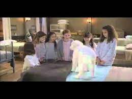 Kaitlyn maher, zachary gordon, diedrich bader and others. Critique Blu Ray The Search Of Santa Paws Youtube