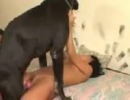 Porno videos gostosa ficou de quatro levou pica na buceta. Morena Ninfeta Deita Na Cama E Leva Pica Do Cao Grande Na Xana