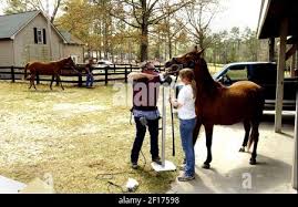 Carl Stuckey, left, an equine dental technician, works