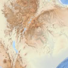 Image result for Athroisma gracile