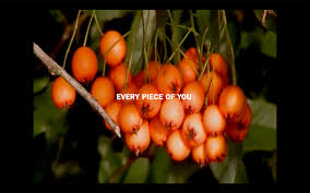 Bekijk wat sweder spanjer (sjspanjer) heeft ontdekt op pinterest, 's werelds grootste verzameling ideeën. The Tingle That You Feel On Your Tongue By Peter Spanjer Events For London