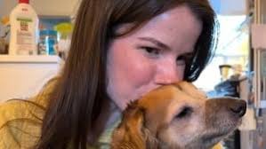 Une chienne souffrant d'obésité morbide devient source d'inspiration par sa  volonté de remonter la pente