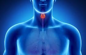 Your doctor can detect a thyroid nodule by examining your neck to feel your thyroid gland. The Many Ways Cannabis Might Treat Thyroid Disease