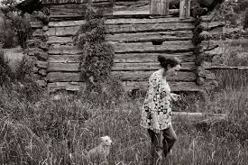 Image result for Emiliella exigua