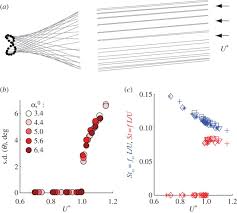 Everything is implemented in above stackblitz. An Aeroelastic Instability Provides A Possible Basis For The Transition From Gliding To Flapping Flight Journal Of The Royal Society Interface