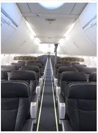 Alaska airlines can refuse to transport an animal due to illness, aggressive behavior, poor kenneling, or extreme temperatures at origin, transfer, or destination airports. Alaska Airlines New Sky Interior Airline Interiors Alaska Airlines Airline Seats
