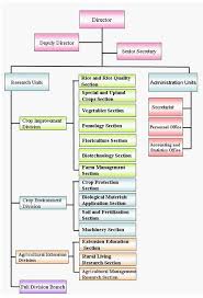 organizational chart taichung district agricultural research