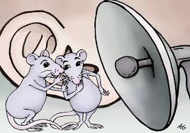 Check spelling or type a new query. Scientists Use Ai To Decode The Ultrasonic Language Of Rodents Smart News Smithsonian Magazine