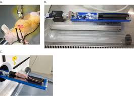 We did not find results for: Implantation And Monitoring By Pet Ct Of An Orthotopic Model Of Human Pleural Mesothelioma In Athymic Mice Protocol Translated To Dutch