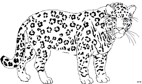Ausmalbild Leopard Ausmalbilder Fur Kinder Ausmalen Bilder Zum Ausmalen Ausmalbild