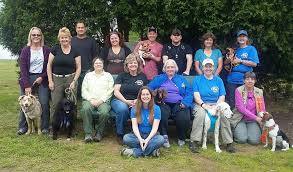 Maybe you would like to learn more about one of these? Marn Directory Missing Animal Response Network