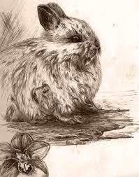 Check spelling or type a new query. Ink Drawing Old Style By Zprokey On Deviantart