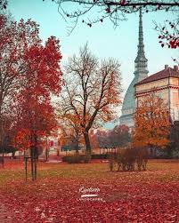 Happy host torino si occupa della gestione di case vacanze, airbnb, e affitti brevi: Yhome It Il Tuo Viaggio A Torino Affitti Per Brevi Periodi Home Facebook