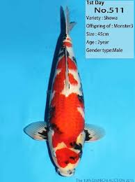 pin by thaweesak boonsiriseth on koi fish koi carp koi fish koi
