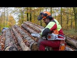 Eine klage ist dann nicht mehr. Kette Scharfen Wie Die Profis Youtube Baum Fallen Wald Pets