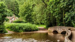 Download Wallpaper Forest Trees Bridge House River Uk Somerset Section Pejzazhi Resolution 1920x1080 Maison Maison 2