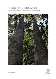 Image result for Paropsia braunii