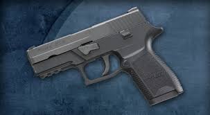 Browse all p250 cs:go skins. Sig P250 Pistol 250c40b 40 S W Compact With 3 9 Barrel For 366 30 9 99 S H Gun Deals