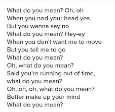 Justin Bieber What Do You Mean Lyrics You Dont Want Me Love Life Sayings