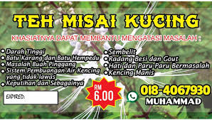 Teh misai kucing dikenali sebagai java tea oleh masyarakat eropah dan amerika. Orang Kampung Teh Misai Kucing Photos Facebook