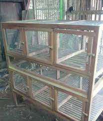 Ya, hamster menjadi salah satu jenis hewan peliharaan yang cukup menggemaskan. Desain Dan Cara Membuat Kandang Kelinci Sendiri Yang Murah Peternakan Dan Perkebunan