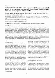 Image result for Fagopyrum snowdenii