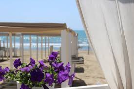 Centro le torri local business 56128 tirrenia. Bagni Vittorio Emanuele Tirrenia 2021 All You Need To Know Before You Go With Photos Tripadvisor