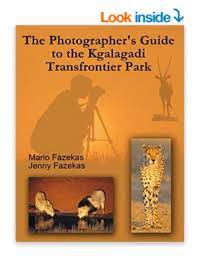 Pin On Instructional Wildlife Photography Ebooks