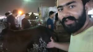 Sohrab Goth Mandi, 3 Lac Bol Raha Hai Janwar key. 😡