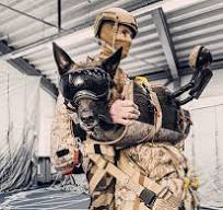 This new harness lets military dogs parachute safely and ...