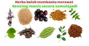 Terdapat banyak jenis ubat penyakit kencing manis di pasaran sama ada keluaran farmasi mahupun tradisional. Membantu Merawat Kencing Manis Secara Semulajadi