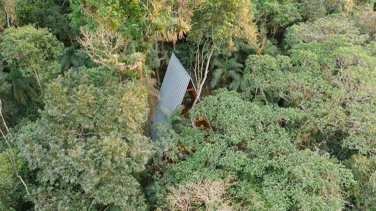 Atelier Marko Brajovic builds Monkey House on stilts in the forests of  Brazil
