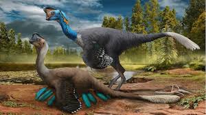 Frozen in time: Scientists find rare fossil of dinosaur sitting on eggs  with embryos inside | CBC Radio