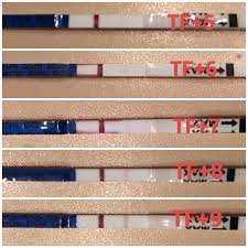 Im hochwassergebiet seien strecken unterspült oder schotter weggespült. Sst Positiv Und Hoffentlich Halt Es Mal Langer Kinderwunschbehandlung