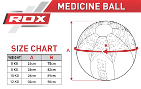 Medicine Ball Puregym Shop