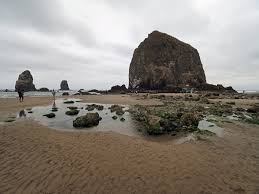 Where To Make The Most Of The Low Tide In Oregon This Summer