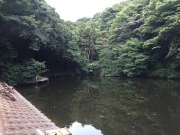 FISH'N'ROLL!!! - FC2