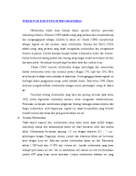 Fungsi mitokondria yang utama adalah menghasilkan energi. Doc Struktur Dan Fungsi Mitokondria Tomy Tomy Academia Edu
