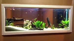 Diy aquarium aquarium design aquarium mural aquarium fish tank aquarium ideas fish awesome in the wall fish tank. Diy Wall Built In Fish Tank 150gl Aquarium Freshwater Set Up Youtube
