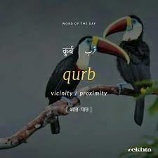 Urdu Urdu World Urdu Words Learning Urdu Besutiful Urdu Words Alfaaz Lafz Urdu Words With Meaning Hindi Words Urdu Love Words
