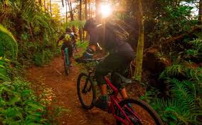 View the best cheap mountain bike below. The Mia Santa Cruz Team In The Philippines Enduro Mountainbike Magazine