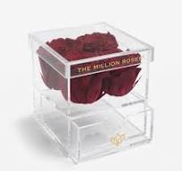 Acrylic 4 Drawer Box | Magenta Roses
