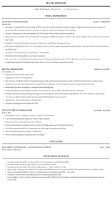 Check spelling or type a new query. Brand Ambassador Resume Sample Mintresume