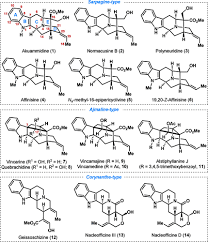 Image result for Corynanthe