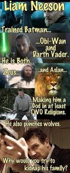 I Love It When A Plan Comes Together Gif Liam Neeson Don T Mess With Liam Neeson He Also Loves It When A Plan Comes Together Liam Neeson Meme Liam Neeson Funny Pictures